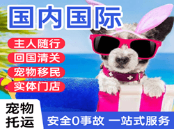和田机场快运国际宠物托运 【国